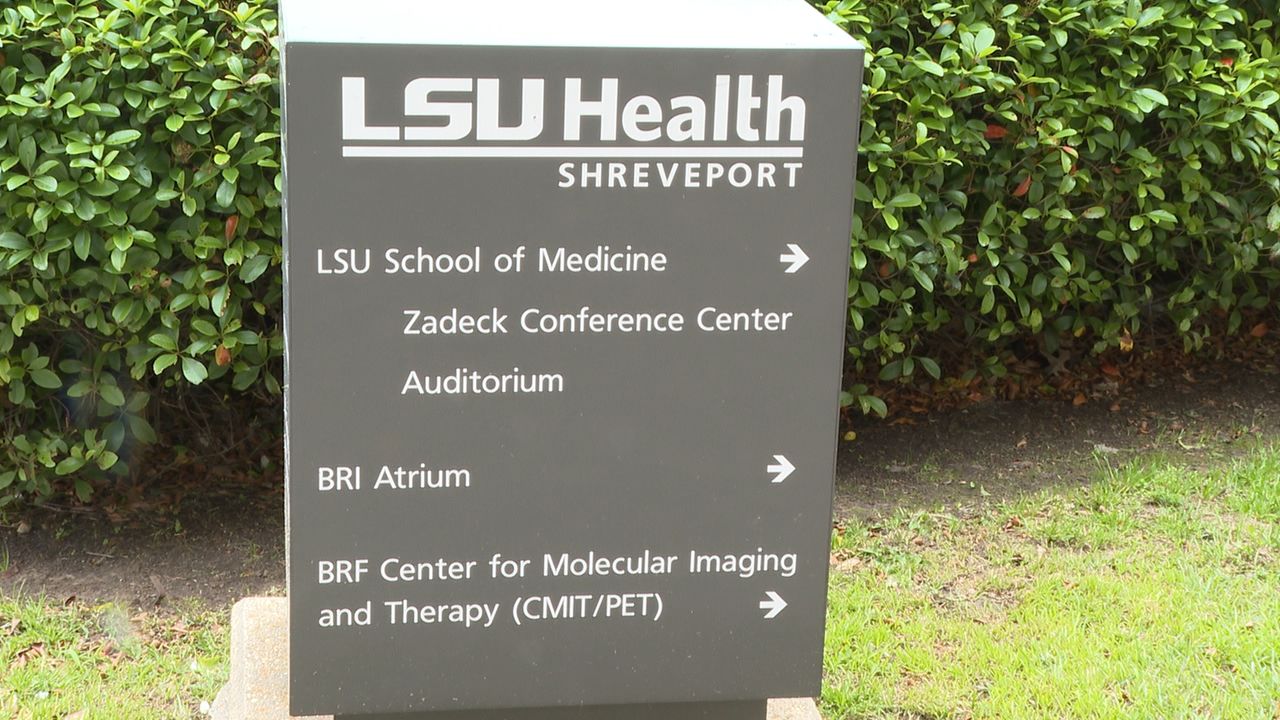 LSU GRAY AND WHITE.jpg